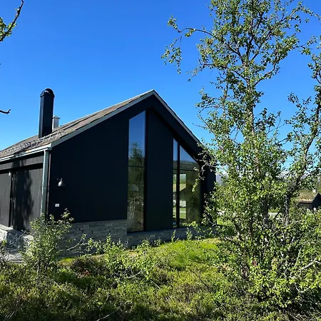 Beitostolens Naturpanorama Beitostolen